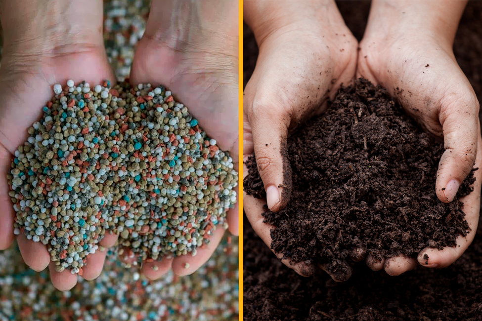 Diferença Fertilizante Químico x Orgânico
